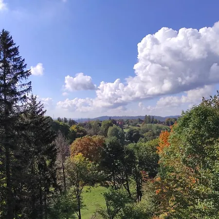 Harzer Weitblick, Bis 2 Hunde Willkommen, W-lan, 2x Smart Tv, Dtv 4 Sterne, 4 Pfoten Apartament