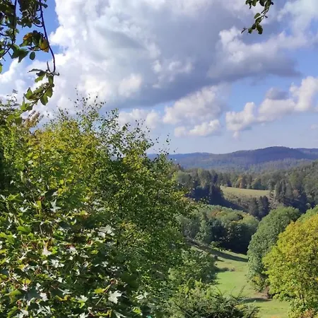 Apartament Harzer Weitblick, Bis 2 Hunde Willkommen, W-lan, 2x Smart Tv, Dtv 4 Sterne, 4 Pfoten