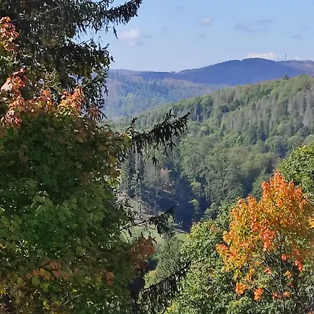 Harzer Weitblick, Bis 2 Hunde Willkommen, W-lan, 2x Smart Tv, Dtv 4 Sterne, 4 Pfoten * Braunlage