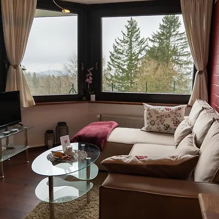 Harzer Weitblick, Bis 2 Hunde Willkommen, W-lan, 2x Smart Tv, Dtv 4 Sterne, 4 Pfoten Appartamento *