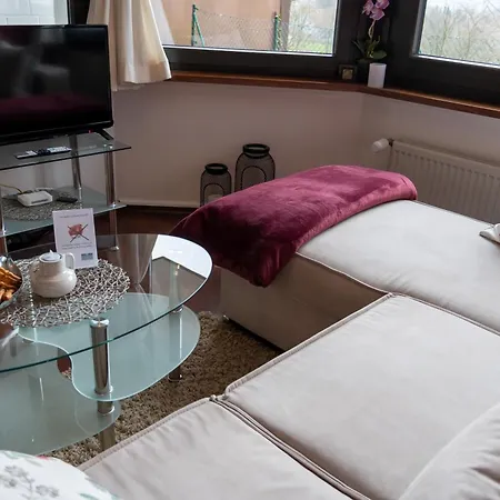 Harzer Weitblick, Bis 2 Hunde Willkommen, W-lan, 2x Smart Tv, Dtv 4 Sterne, 4 Pfoten *