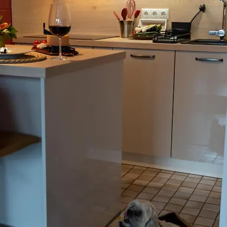 Harzer Weitblick, Bis 2 Hunde Willkommen, W-lan, 2x Smart Tv, Dtv 4 Sterne, 4 Pfoten