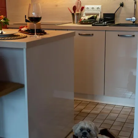 公寓 Harzer Weitblick, Bis 2 Hunde Willkommen, W-lan, 2x Smart Tv, Dtv 4 Sterne, 4 Pfoten