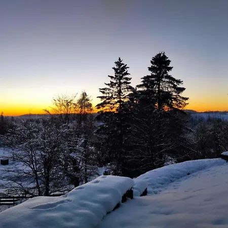 Harzer Weitblick, Bis 2 Hunde Willkommen, W-lan, 2x Smart Tv, Dtv 4 Sterne, 4 Pfoten Apartament Braunlage