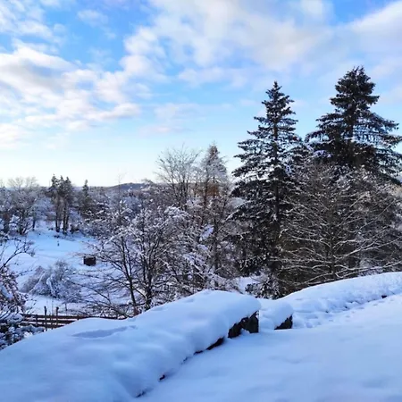 Harzer Weitblick, Bis 2 Hunde Willkommen, W-lan, 2x Smart Tv, Dtv 4 Sterne, 4 Pfoten Appartamento