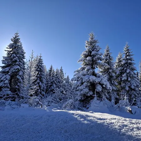 Harzer Weitblick, Bis 2 Hunde Willkommen, W-lan, 2x Smart Tv, Dtv 4 Sterne, 4 Pfoten Appartamento Braunlage