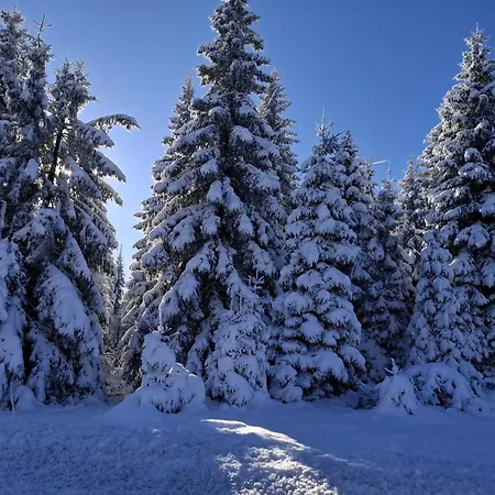 Harzer Weitblick, Bis 2 Hunde Willkommen, W-lan, 2x Smart Tv, Dtv 4 Sterne, 4 Pfoten Appartamento