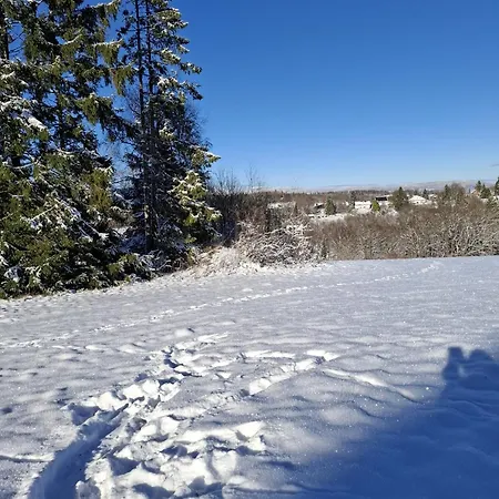 Harzer Weitblick, Bis 2 Hunde Willkommen, W-lan, 2x Smart Tv, Dtv 4 Sterne, 4 Pfoten * Braunlage
