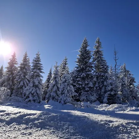 Harzer Weitblick, Bis 2 Hunde Willkommen, W-lan, 2x Smart Tv, Dtv 4 Sterne, 4 Pfoten Appartamento