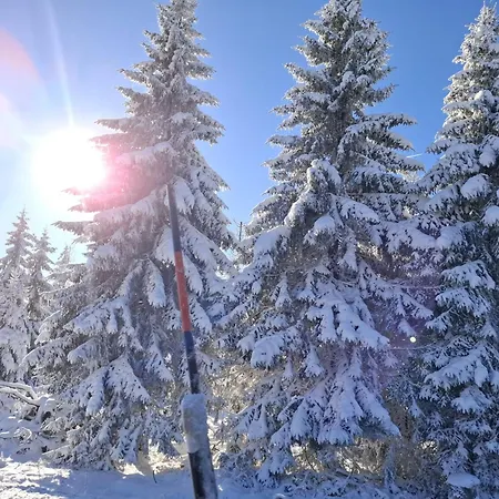 Harzer Weitblick, Bis 2 Hunde Willkommen, W-lan, 2x Smart Tv, Dtv 4 Sterne, 4 Pfoten Braunlage