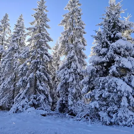 Appartamento Harzer Weitblick, Bis 2 Hunde Willkommen, W-lan, 2x Smart Tv, Dtv 4 Sterne, 4 Pfoten *