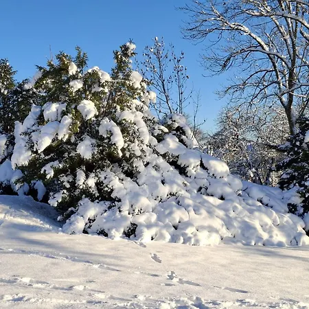 Daire Harzer Weitblick, Bis 2 Hunde Willkommen, W-lan, 2x Smart Tv, Dtv 4 Sterne, 4 Pfoten Braunlage