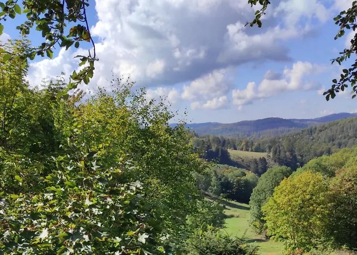 公寓 Harzer Weitblick, Bis 2 Hunde Willkommen, W-lan, 2x Smart Tv, Dtv 4 Sterne, 4 Pfoten