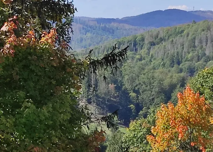 Harzer Weitblick, Bis 2 Hunde Willkommen, W-lan, 2x Smart Tv, Dtv 4 Sterne, 4 Pfoten * 布劳恩拉格