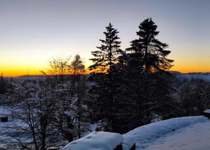 Harzer Weitblick, Bis 2 Hunde Willkommen, W-lan, 2x Smart Tv, Dtv 4 Sterne, 4 Pfoten 公寓 布劳恩拉格