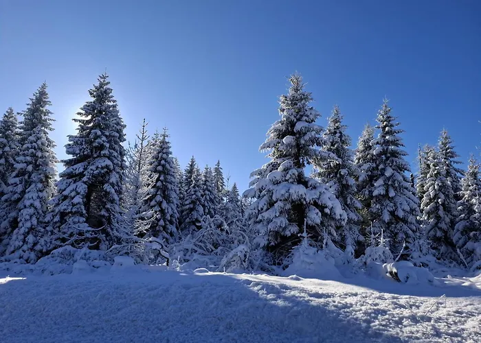 Harzer Weitblick, Bis 2 Hunde Willkommen, W-lan, 2x Smart Tv, Dtv 4 Sterne, 4 Pfoten 公寓 布劳恩拉格