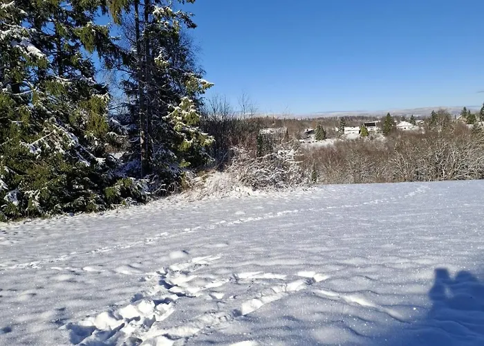 Harzer Weitblick, Bis 2 Hunde Willkommen, W-lan, 2x Smart Tv, Dtv 4 Sterne, 4 Pfoten * 布劳恩拉格