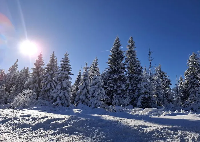 Harzer Weitblick, Bis 2 Hunde Willkommen, W-lan, 2x Smart Tv, Dtv 4 Sterne, 4 Pfoten 公寓