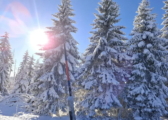 Harzer Weitblick, Bis 2 Hunde Willkommen, W-lan, 2x Smart Tv, Dtv 4 Sterne, 4 Pfoten 布劳恩拉格