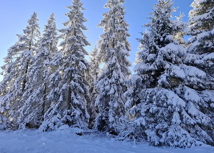 公寓 Harzer Weitblick, Bis 2 Hunde Willkommen, W-lan, 2x Smart Tv, Dtv 4 Sterne, 4 Pfoten *