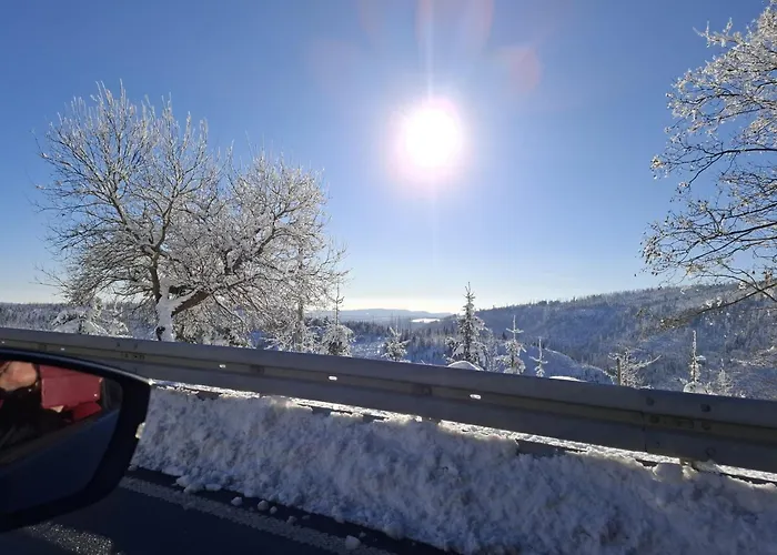 Harzer Weitblick, Bis 2 Hunde Willkommen, W-lan, 2x Smart Tv, Dtv 4 Sterne, 4 Pfoten *