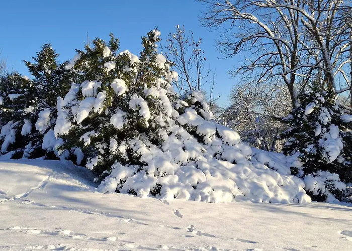 公寓 Harzer Weitblick, Bis 2 Hunde Willkommen, W-lan, 2x Smart Tv, Dtv 4 Sterne, 4 Pfoten 布劳恩拉格